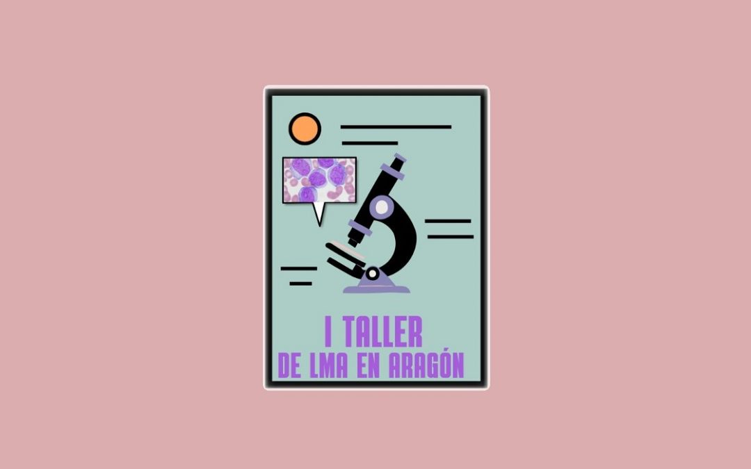 I Taller LMA