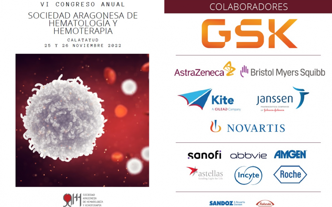 VI Congreso de la SAHH